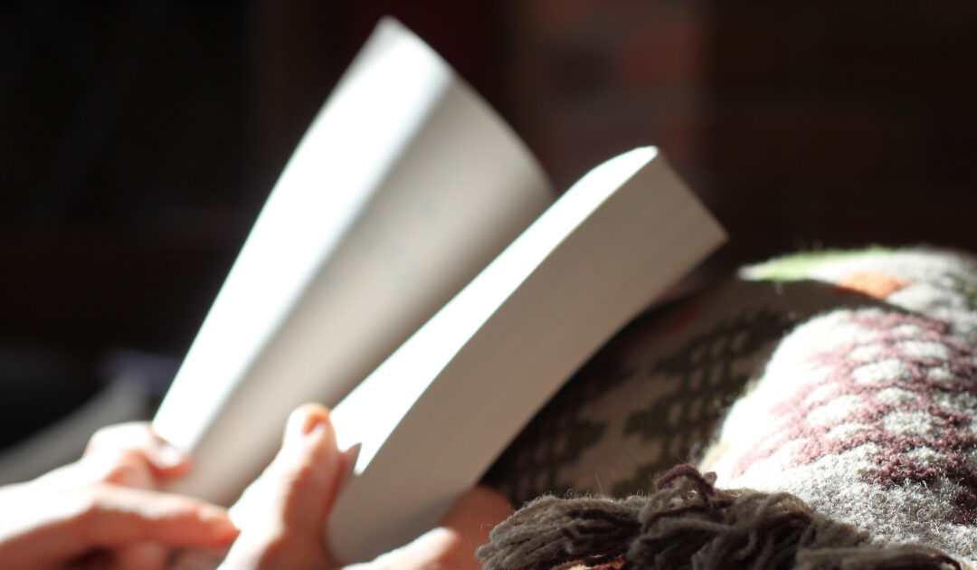 Glossário de terminologia