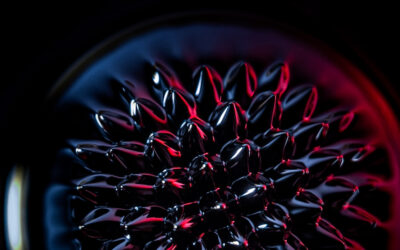 Ferrofluido