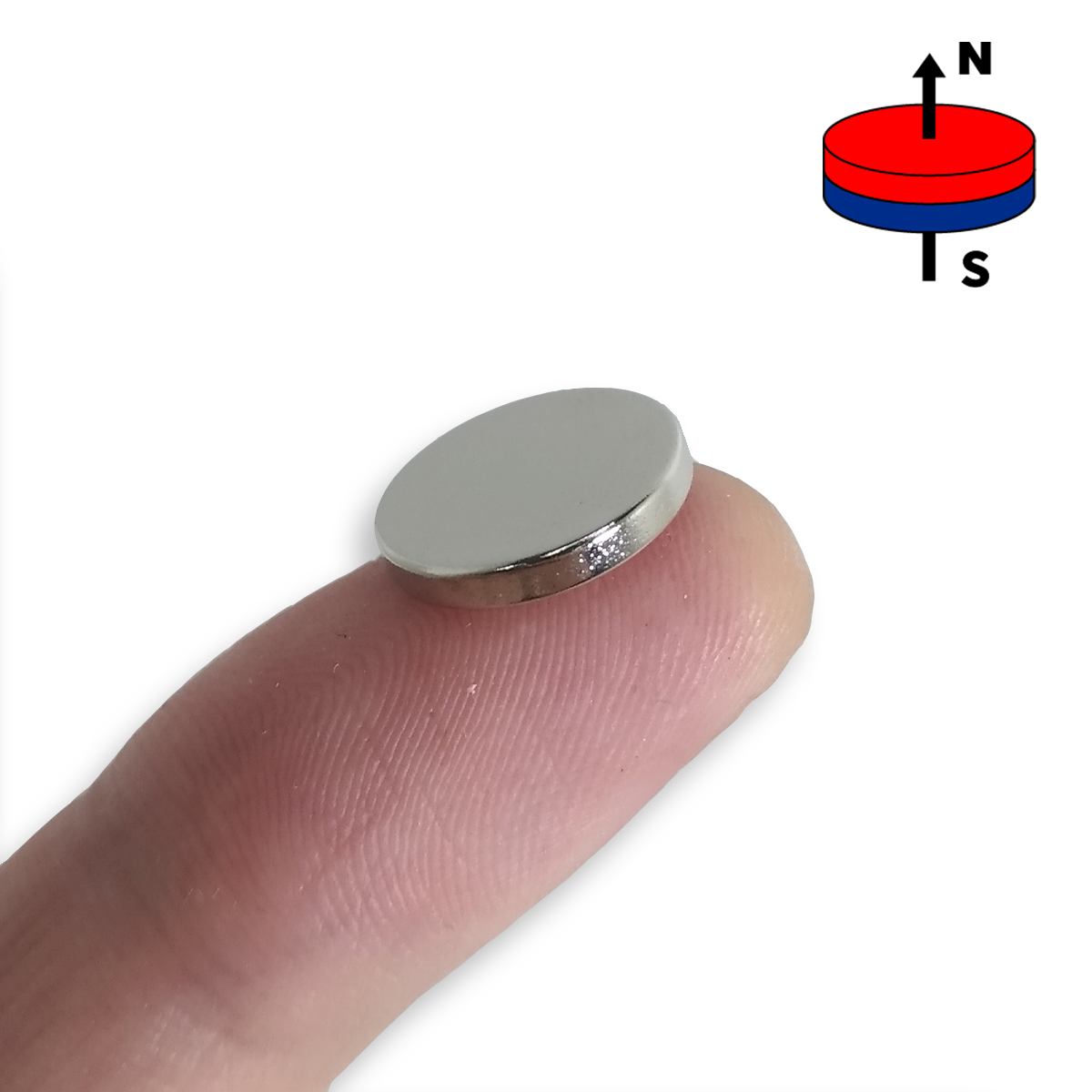Disco de neodímio 12,5 mm por 2 mm sobre o dedo para comparação de tamanho